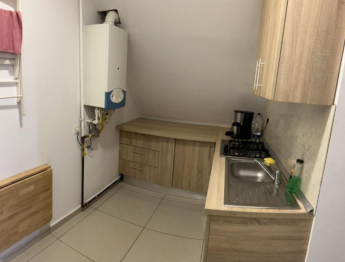 Chez Ana Daire Otopeni Dış mekan fotoğraf