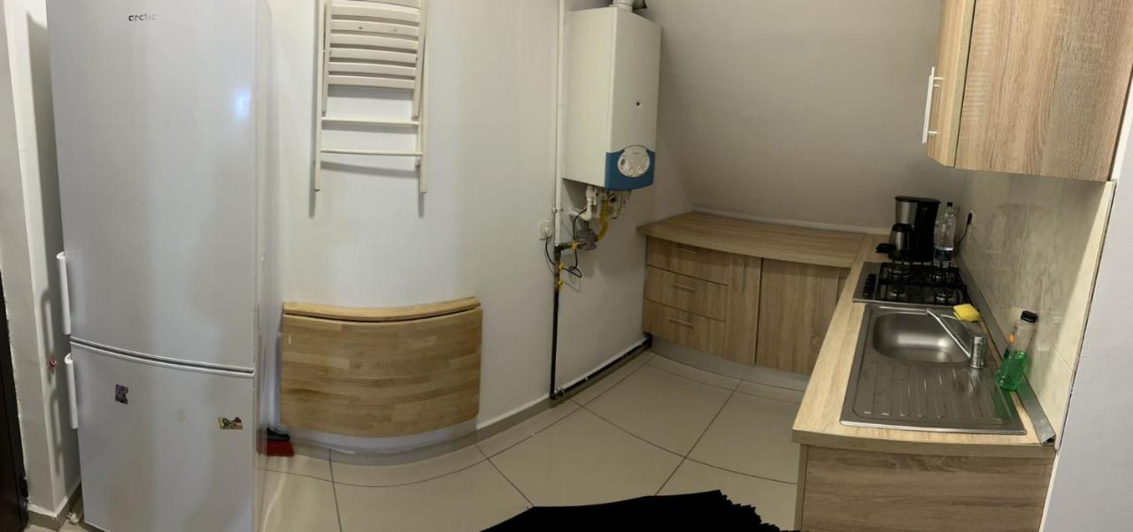 Chez Ana Daire Otopeni Dış mekan fotoğraf